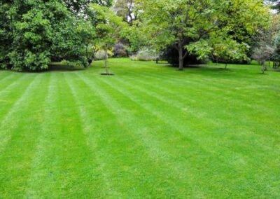 summer gardens building contractors facebook gallery 131