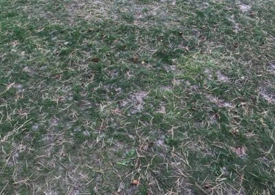 summer gardens building contractors facebook gallery 140