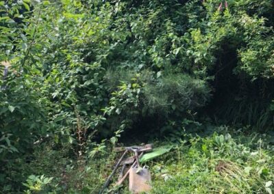 summer gardens building contractors facebook gallery 183