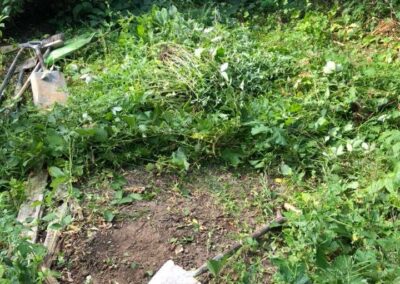 summer gardens building contractors facebook gallery 184