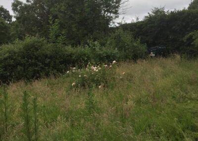 summer gardens building contractors facebook gallery 215