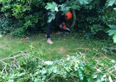 summer gardens building contractors facebook gallery 233