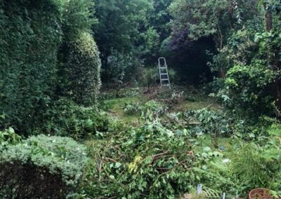 summer gardens building contractors facebook gallery 235