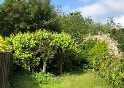 summer gardens building contractors facebook gallery 252