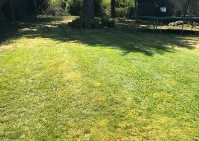 summer gardens building contractors facebook gallery 281