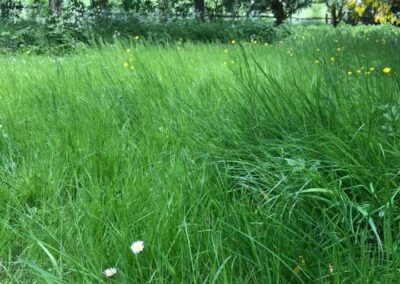 summer gardens building contractors facebook gallery 285