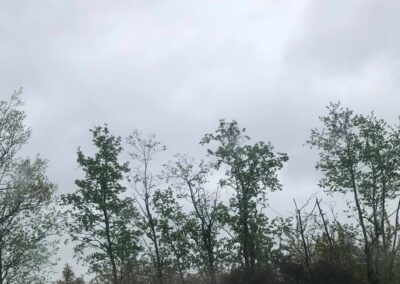 summer gardens building contractors facebook gallery 314