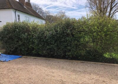 summer gardens building contractors facebook gallery 363