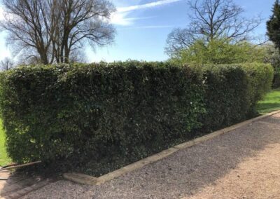 summer gardens building contractors facebook gallery 366