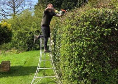 summer gardens building contractors facebook gallery 367