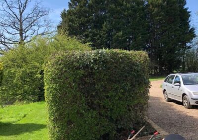 summer gardens building contractors facebook gallery 369