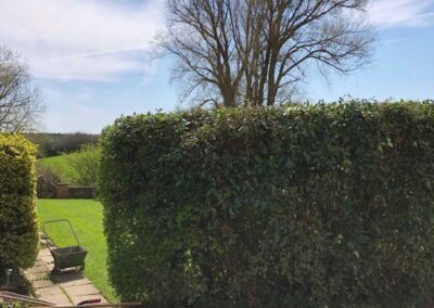 summer gardens building contractors facebook gallery 370